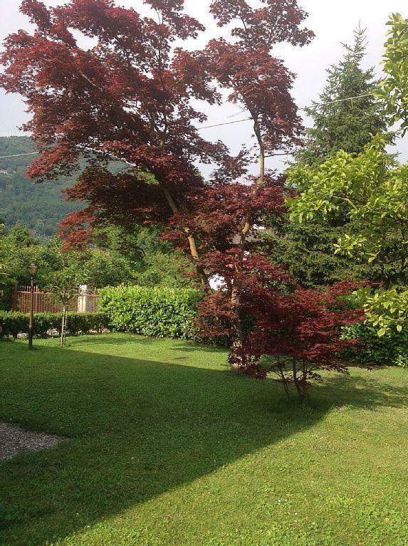 Villa Degli Aceri Сорико Екстер'єр фото
